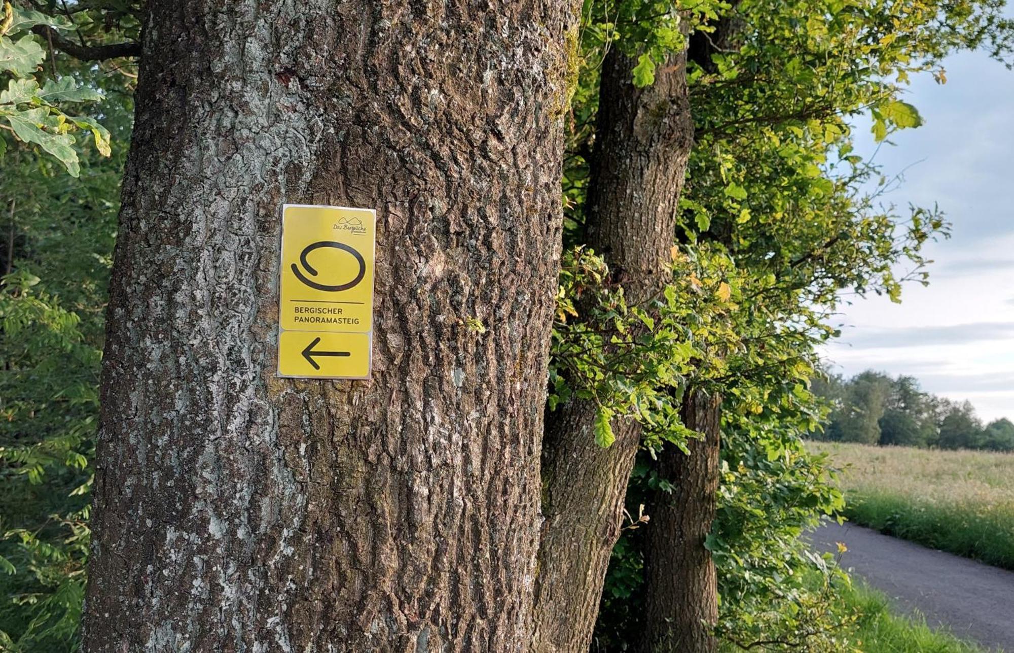 Ferienwohnung Waldbroel - Nahe Naturerlebnispark Waldbrol Eksteriør billede
